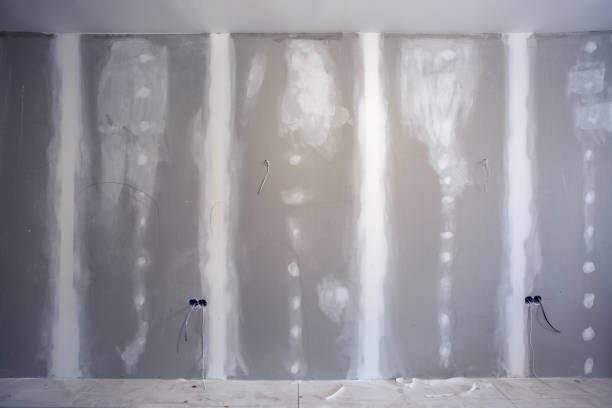 Best Drywall Texturing  in Montgomery, IL